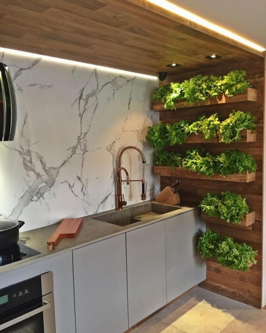 Ягель Фитодекор