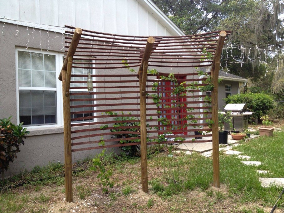 Grape Trellis