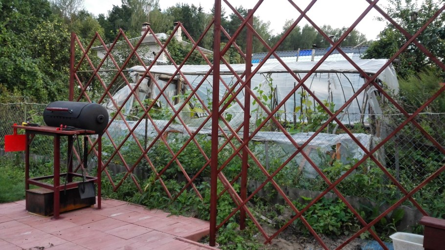 Шпалера для девичьего винограда