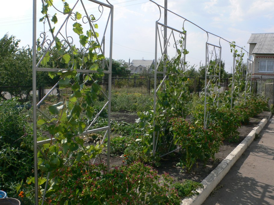 Стойки под виноград