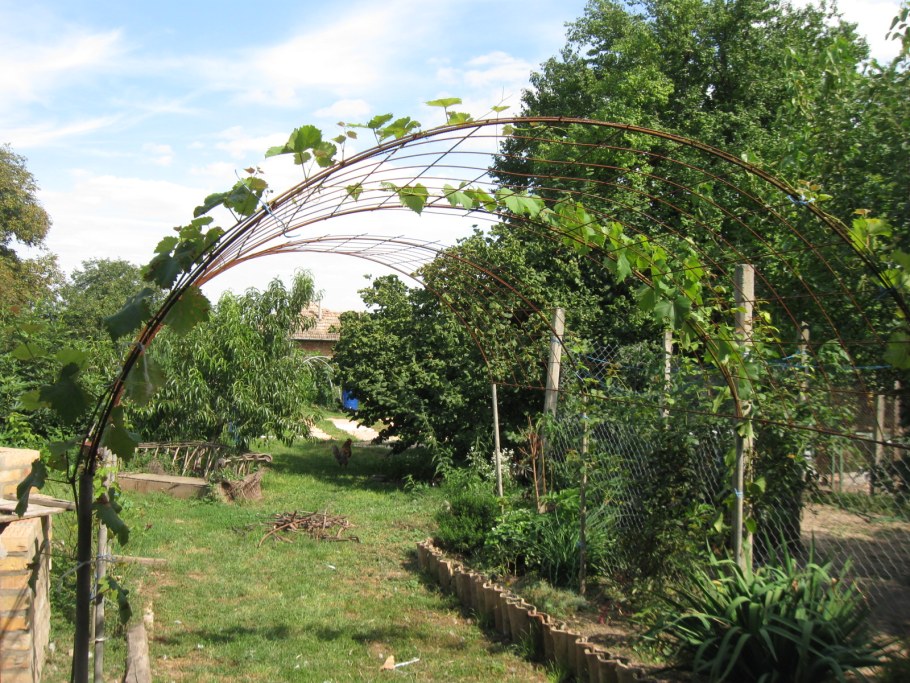 Шпалера полуарка