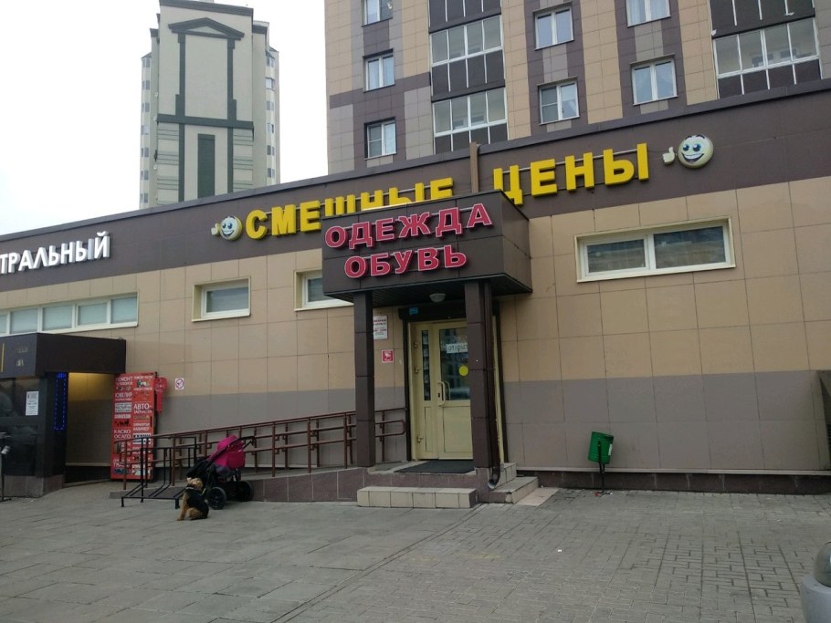 Стенка Эвита Джулия