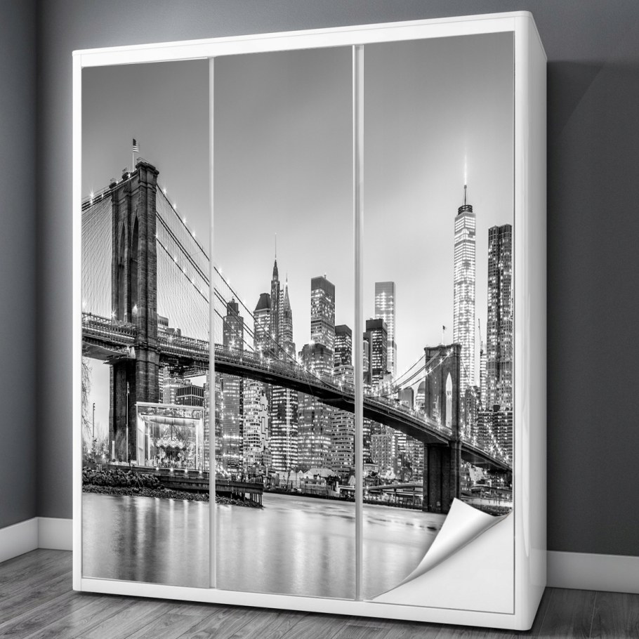 Шкаф купе с одуванчиками