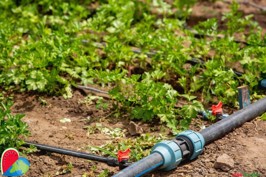 Система капельного автополива на даче