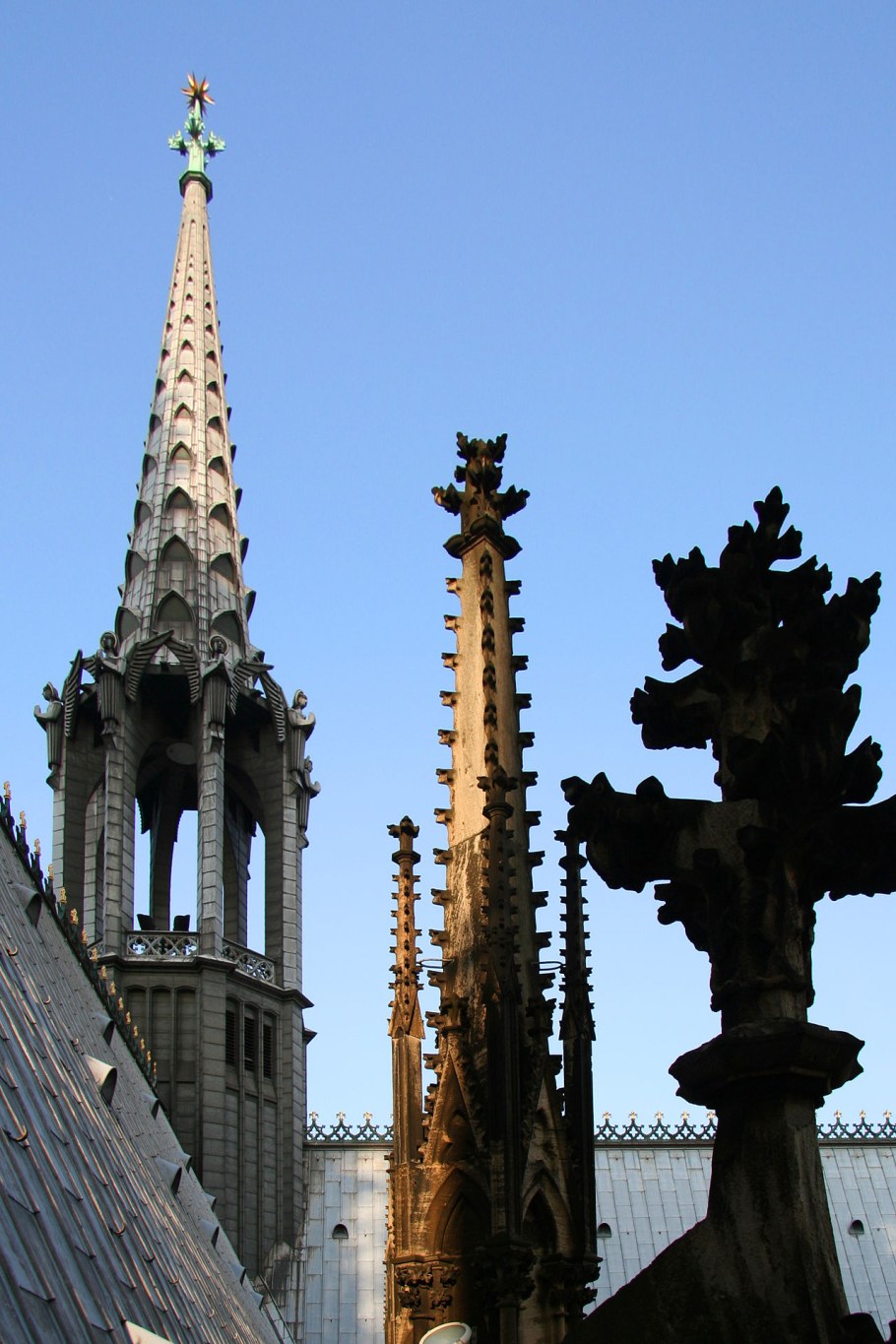 Кёльнский собор крестоцвет