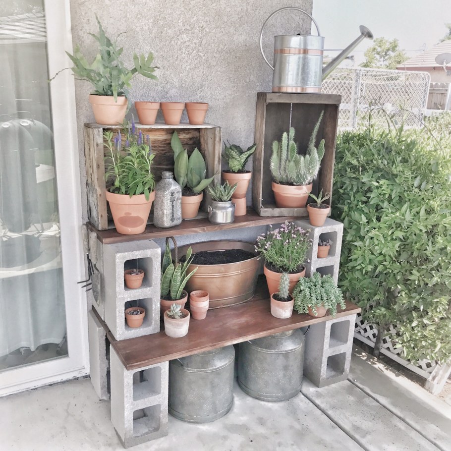 Лайфхаки для цветов на даче