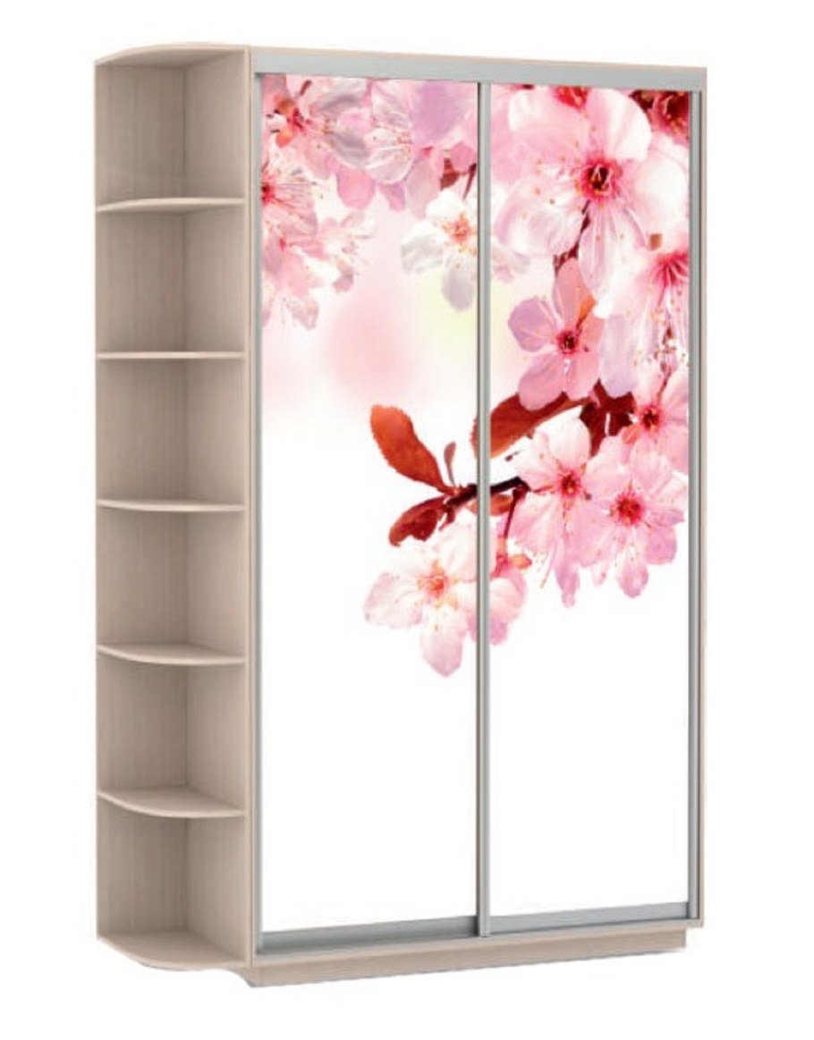 Шкаф купе венге е1