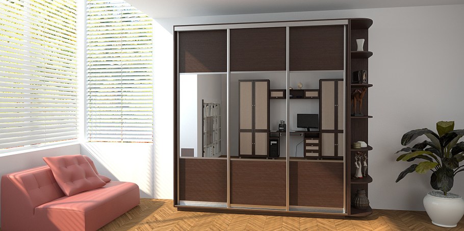 Шкаф купе Медиум трио