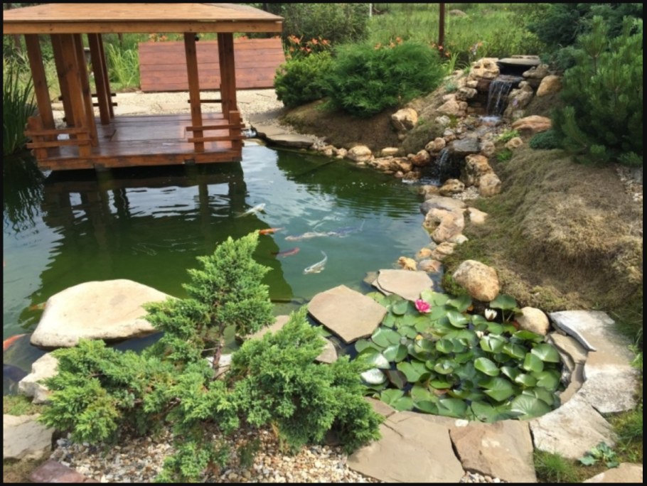 Ручей в саду