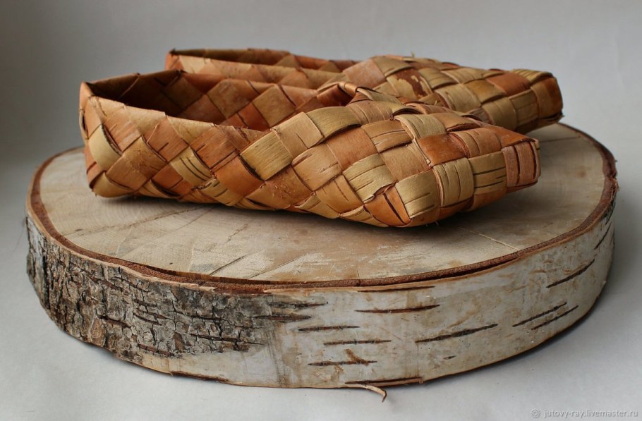 Коротченя береста