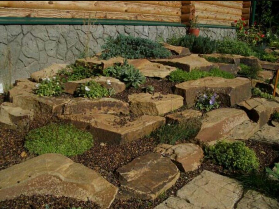 Каменистый сад плитняк