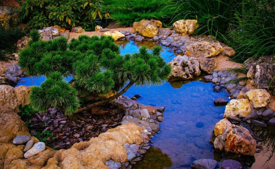 Ручей в саду