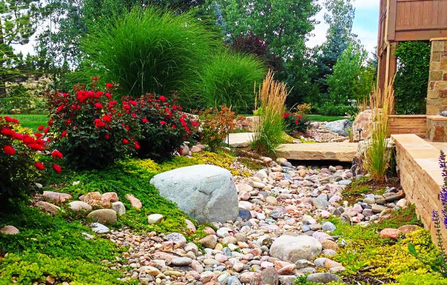 Исток сухого ручья