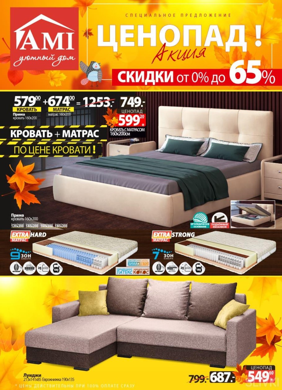 Диван-кровать Триумф-2