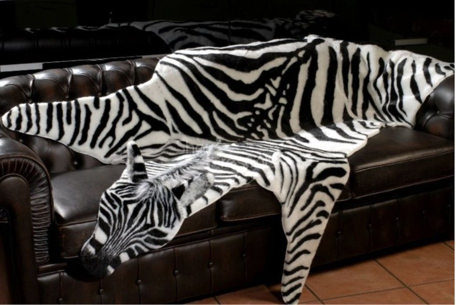 Шкура зебры