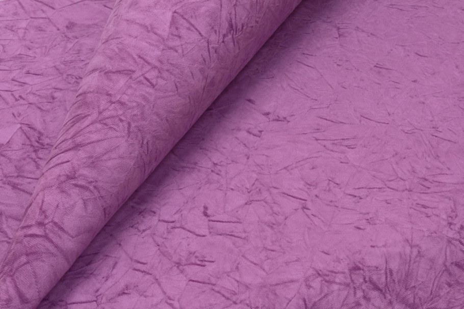 Эгида Тедди 731