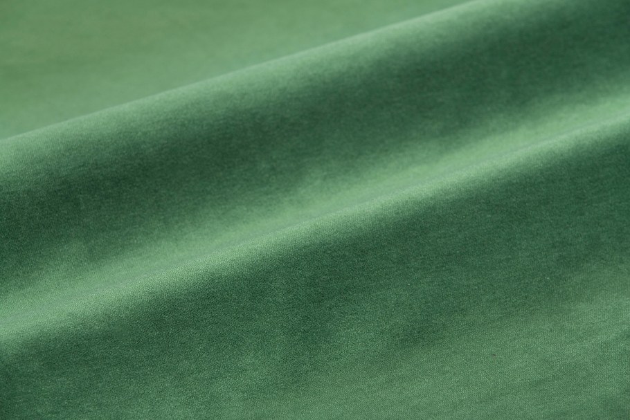 Rayes ткань Velvet