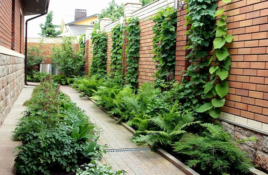 Декорирование забора на дачном участке