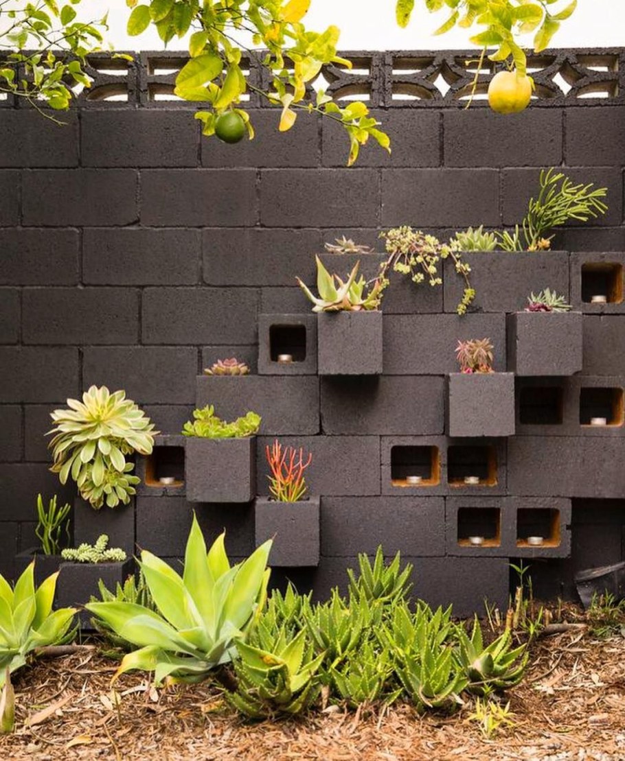 Плющ вертикальное Озеленение