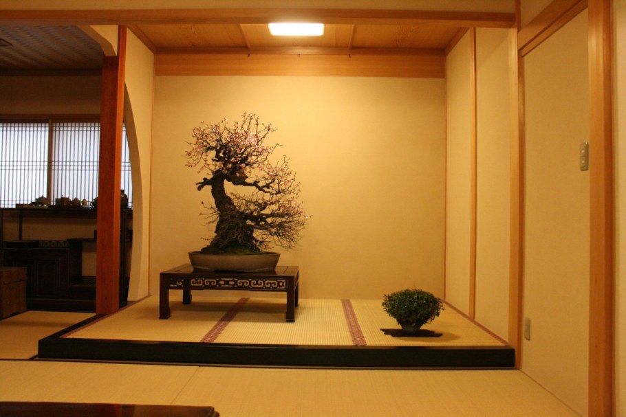 Сёин-дзукури архитектура Японии токонома