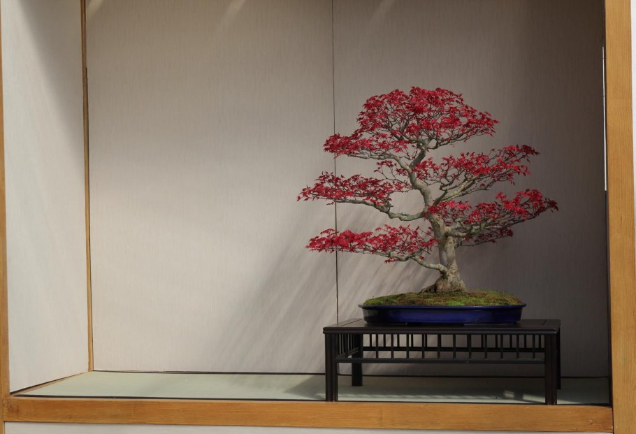 Токонома в Японии