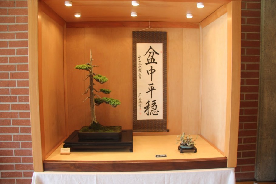 Бонсай в токонома