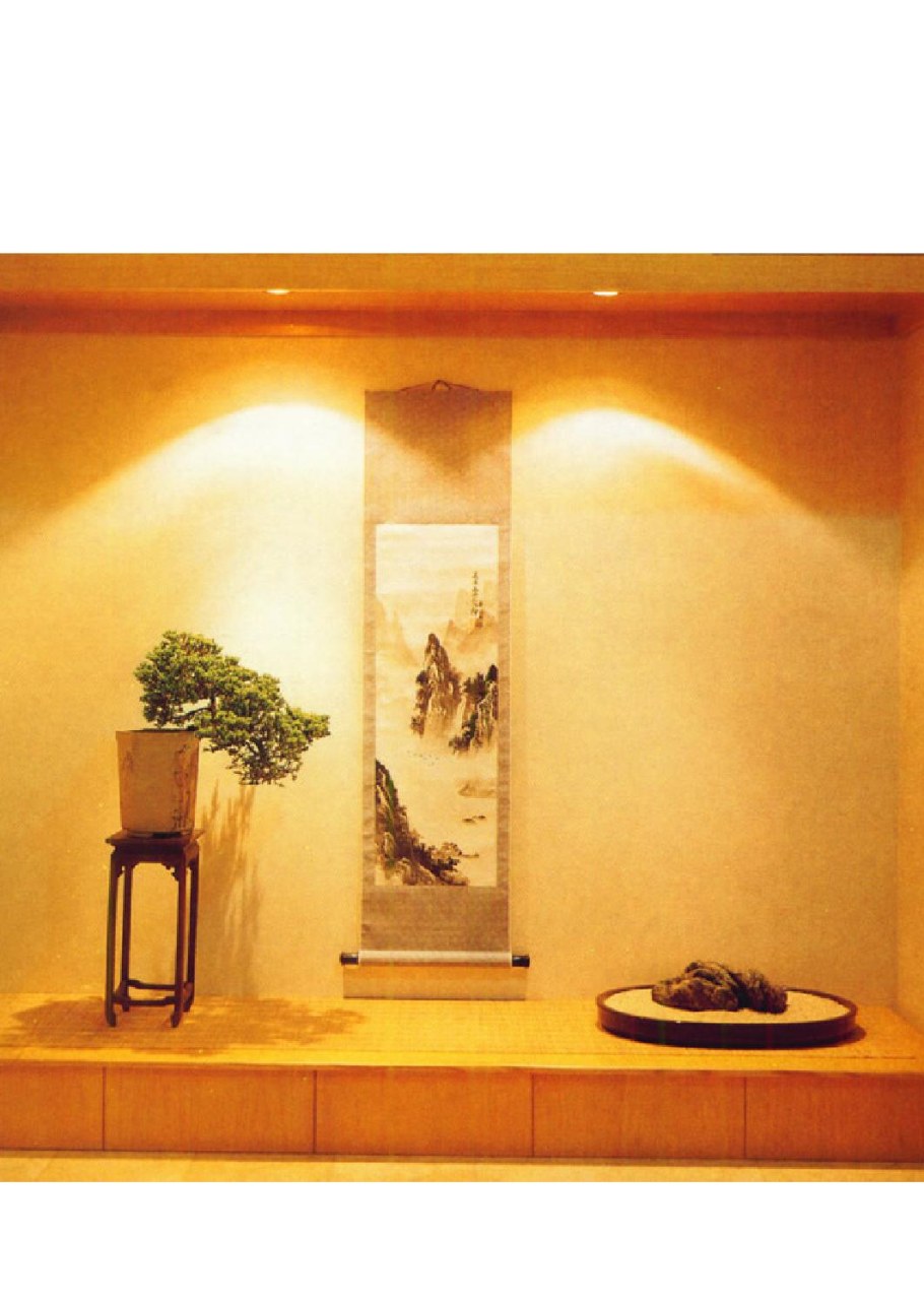 Токонаме Тацуюри