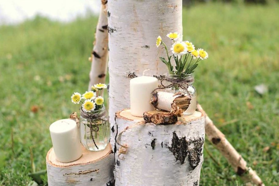 Декор для сада из березы