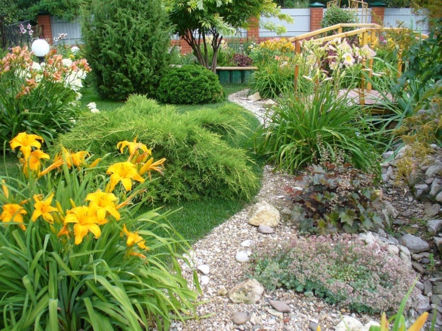 Лилейник в ландшафтном