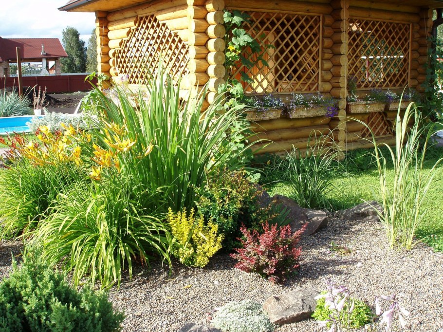 Композиция с лилейниками и хвойными в саду