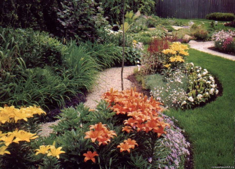 Миксбордер с лилиями