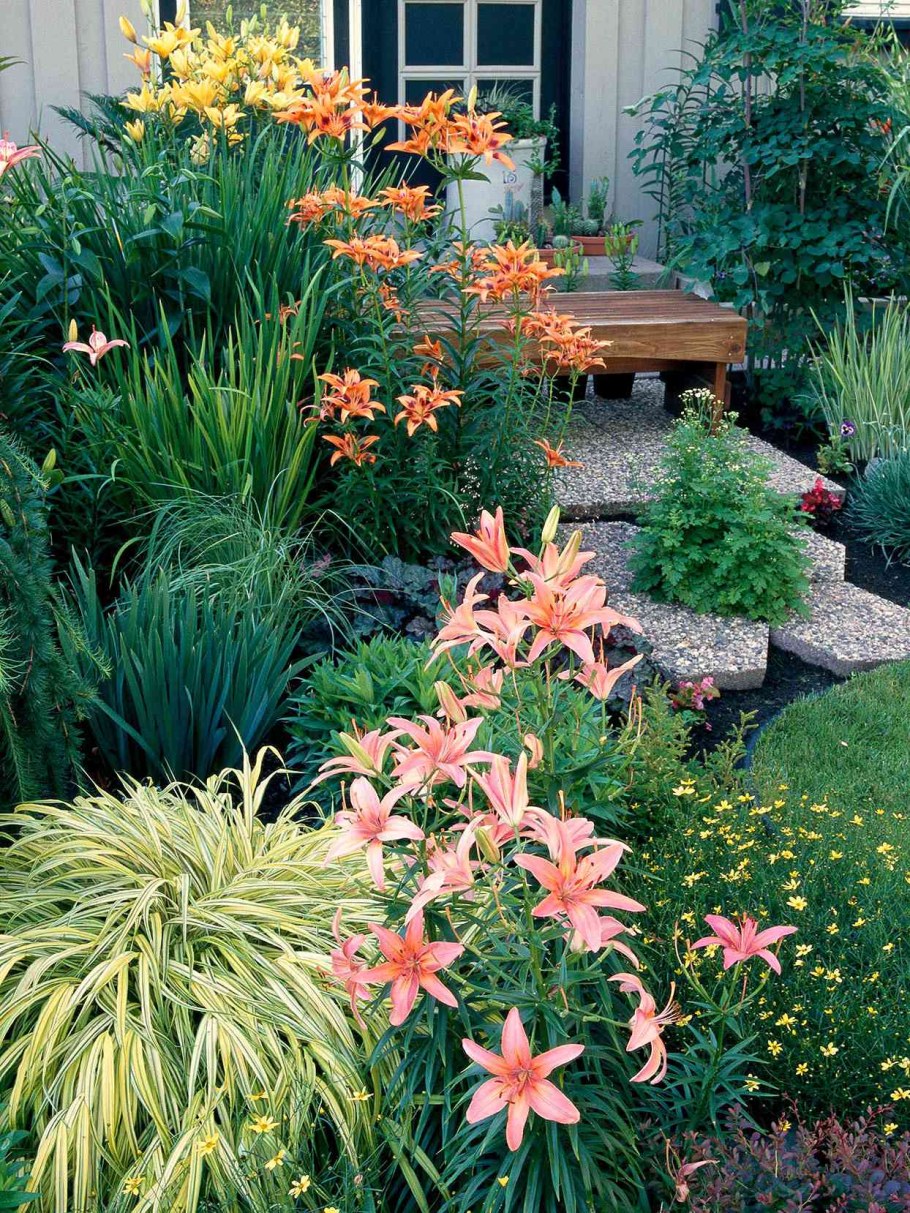 Лилия Лорето в ландшафте