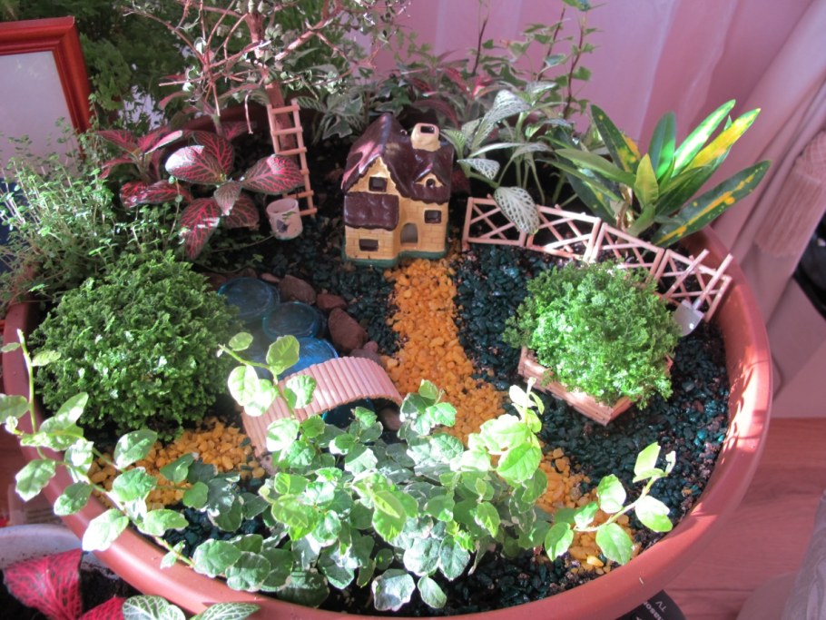 Мини садики из комнатных растений