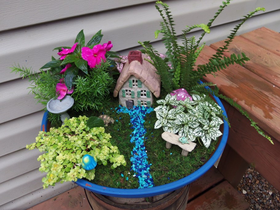 Сад в квартире из комнатных цветов