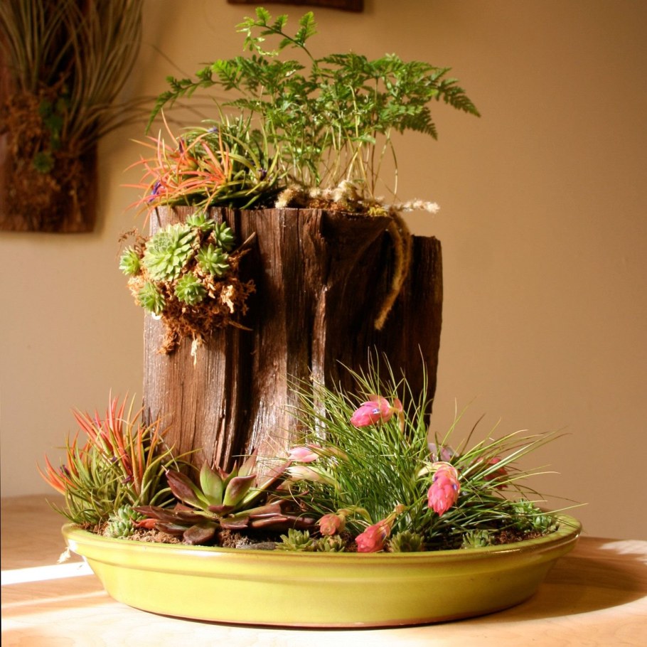 Комнатный садик в интерьере