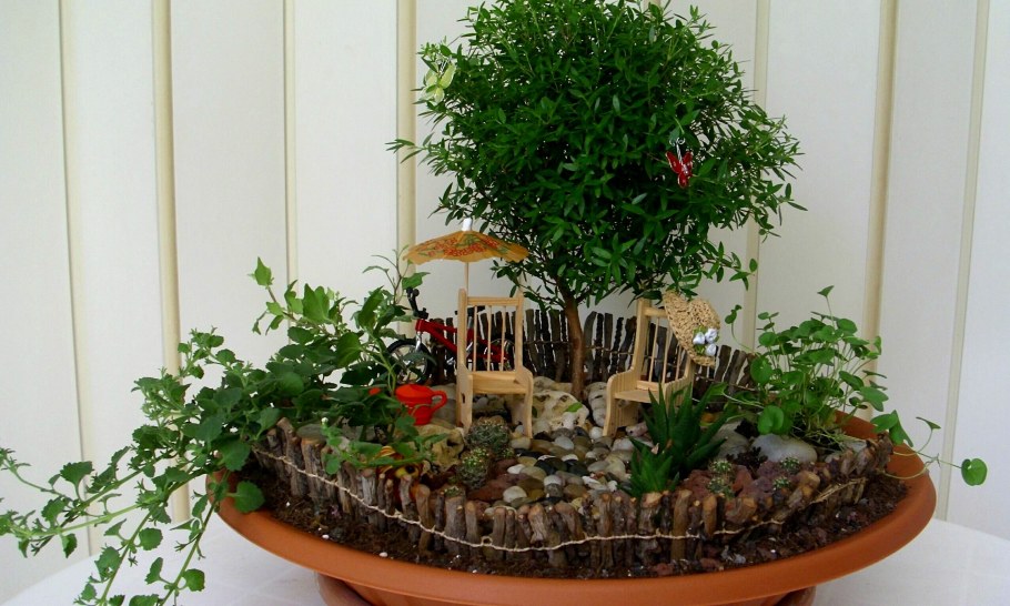 Антуриум в вертикальном озеленении