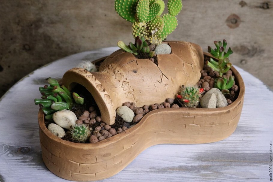 Растения в доме