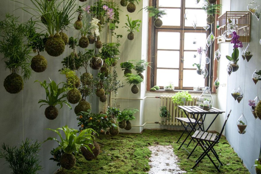 Необычные цветочные горшки