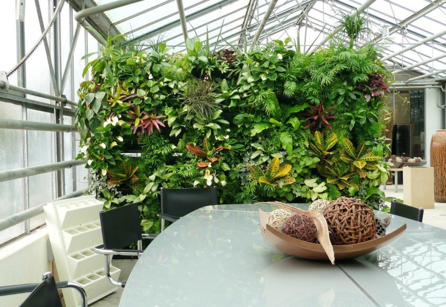Композиции из комнатных растений