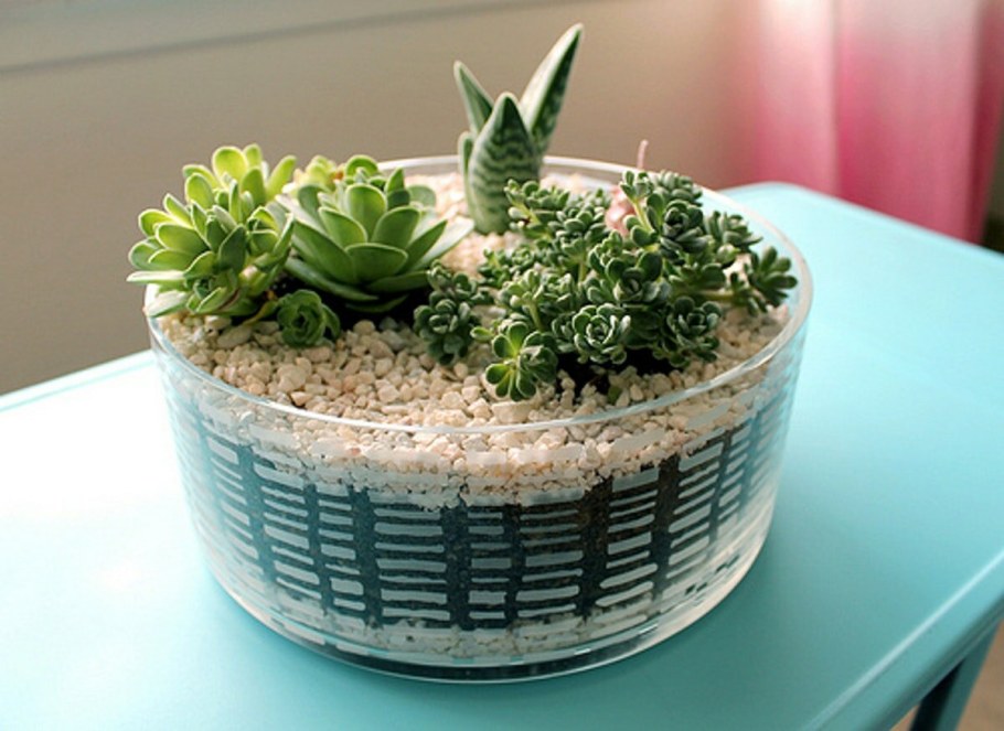 Зеленый Оазис на балконе