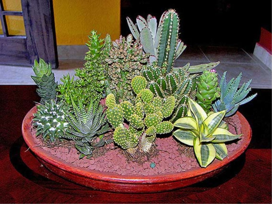 Пот-э-Флер из комнатных растений