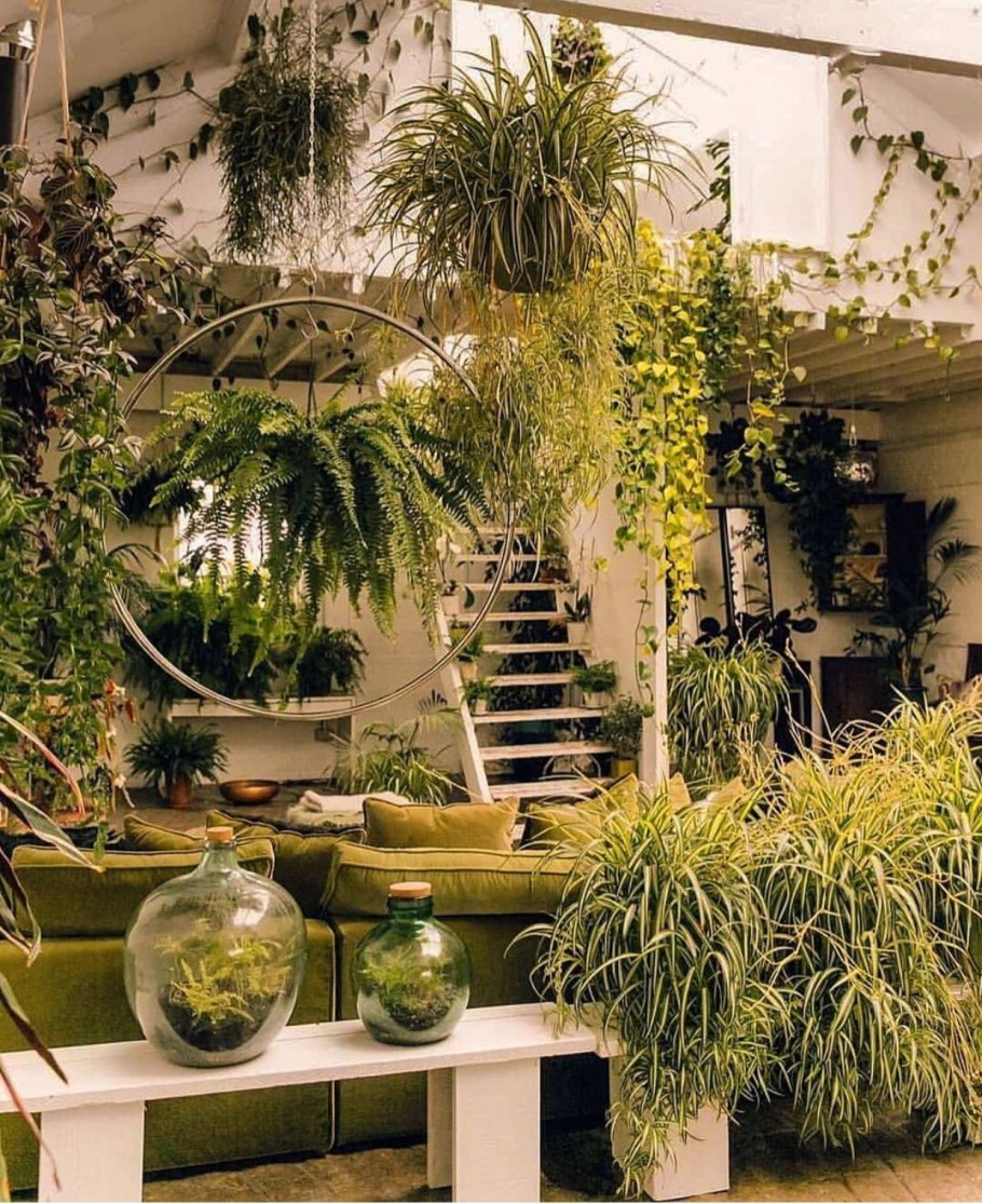 Подвесная композиция из комнатных растений