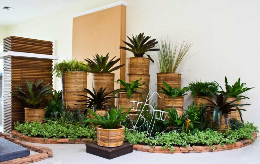 Фитодизайн в интерьере