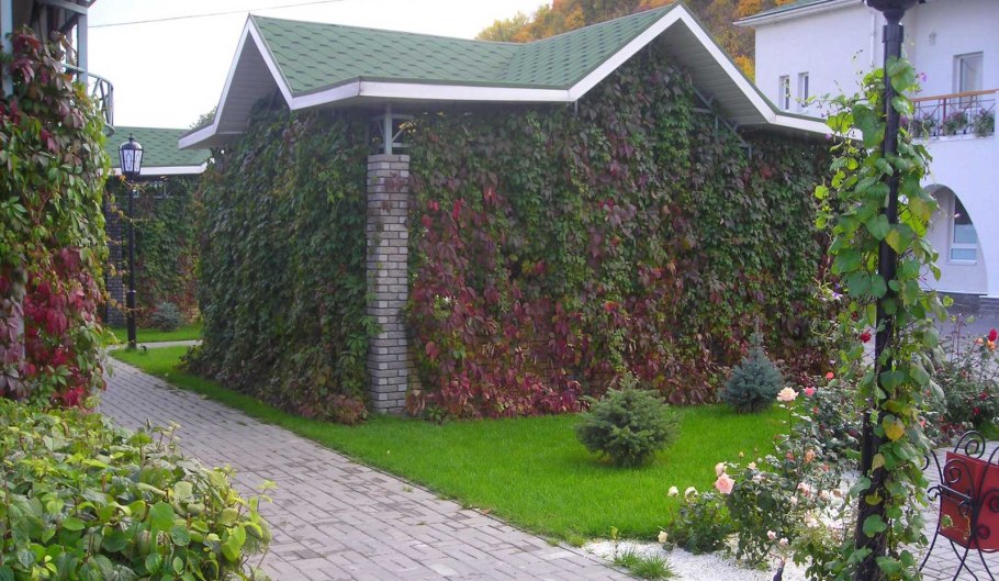 Пергола Берсо