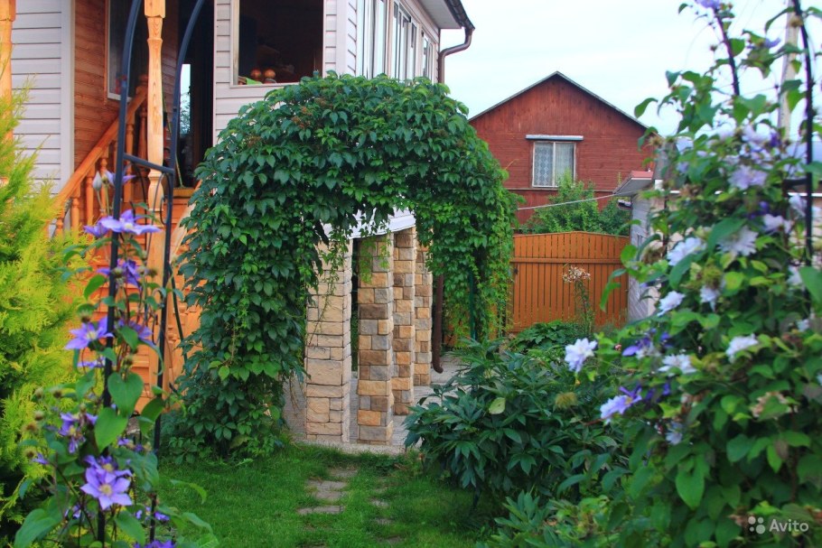 Пергола шпалера актинидия