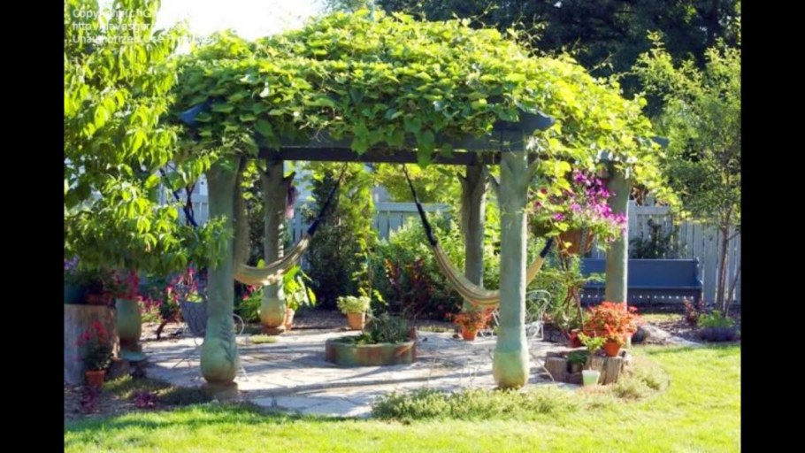 Виноградники на перголе в Италии