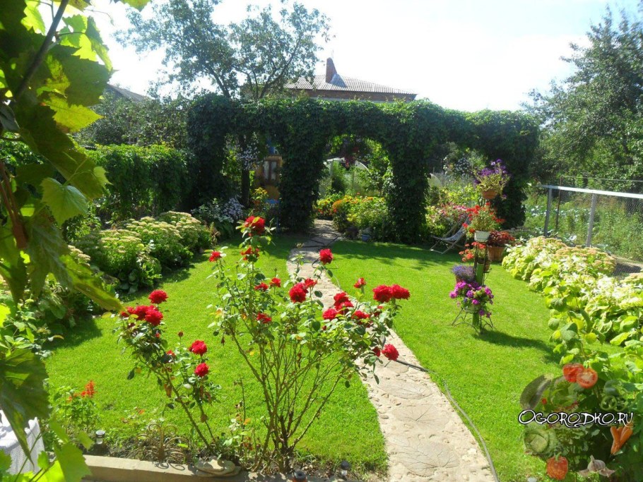 Клумба с девичьим виноградом