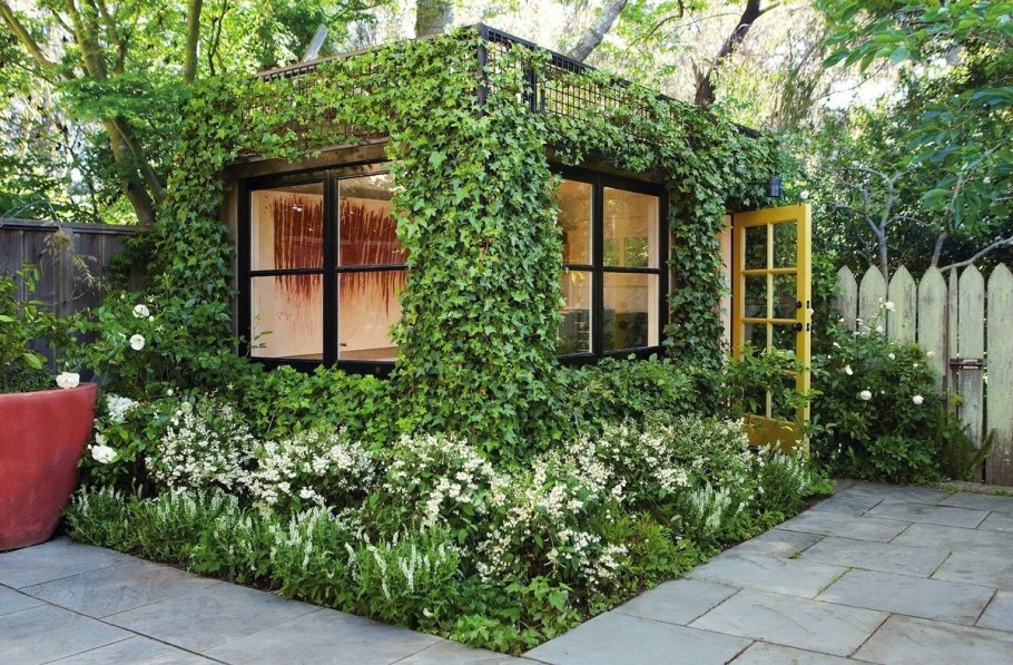 Пергола арка девичий виноград