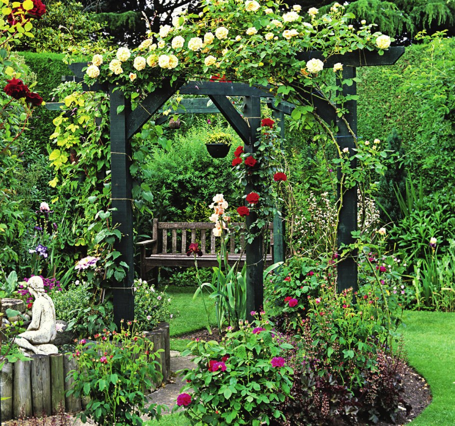 Плющ Хмель Вьюнок