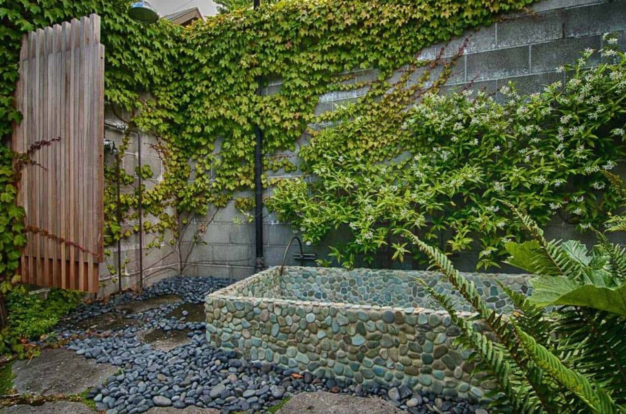 Вертикальное Озеленение девичий виноград